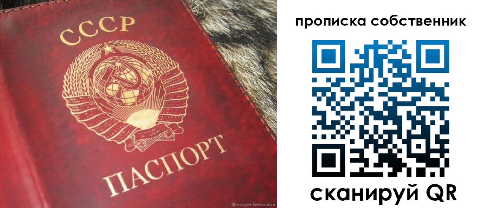 прописка в квартире в Камбарке